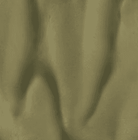 Palm