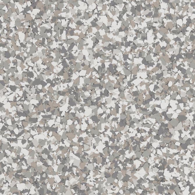 Gray Squirrel