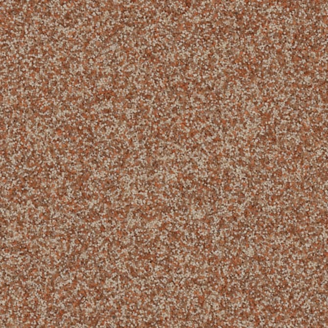 Autumn Spice